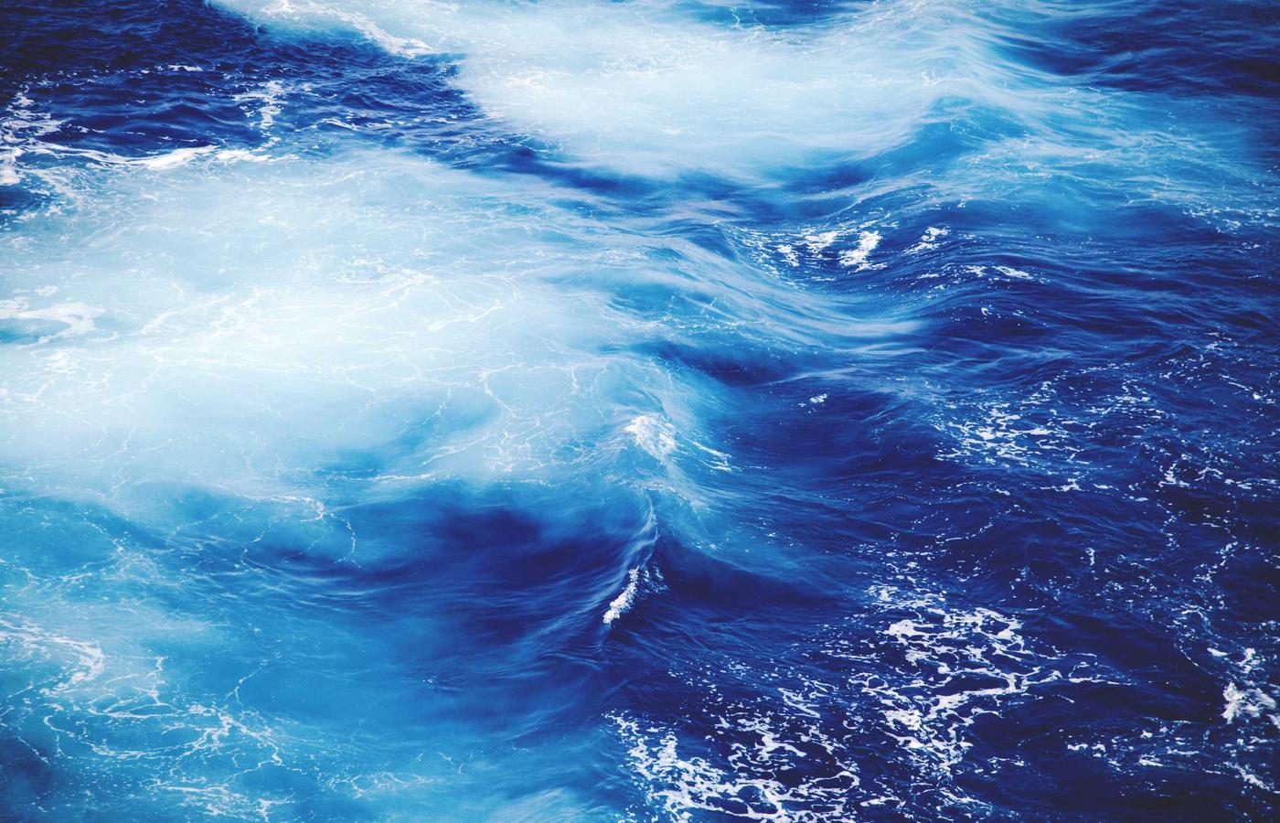 Портрет Елены Соколовой